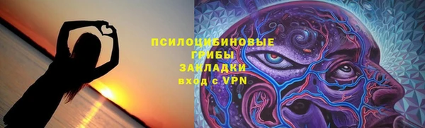 герыч Алексин