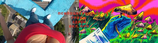 спиды Алзамай