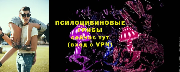 герыч Алексин